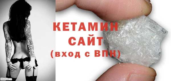 шишки Абаза