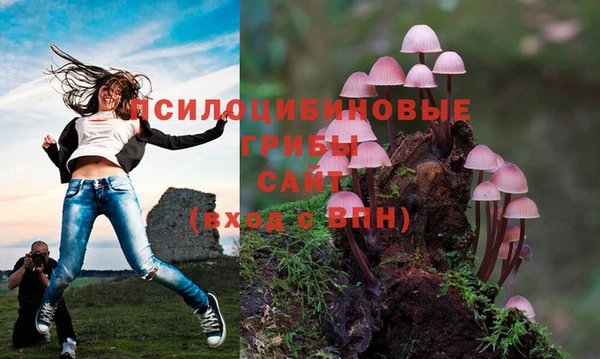 МДМА Абдулино