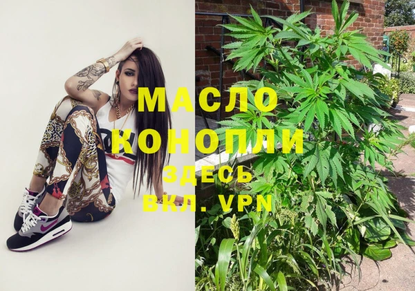 шишки Абаза
