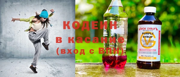 шишки Абаза